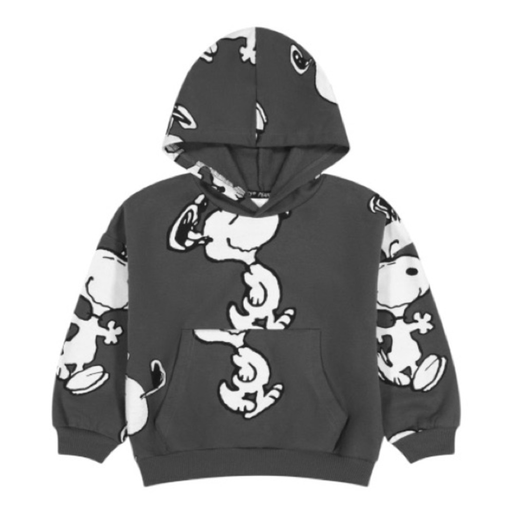 Peanuts Snoopy Toddler Fleece Pullover Hoodie Kids 3T Gray